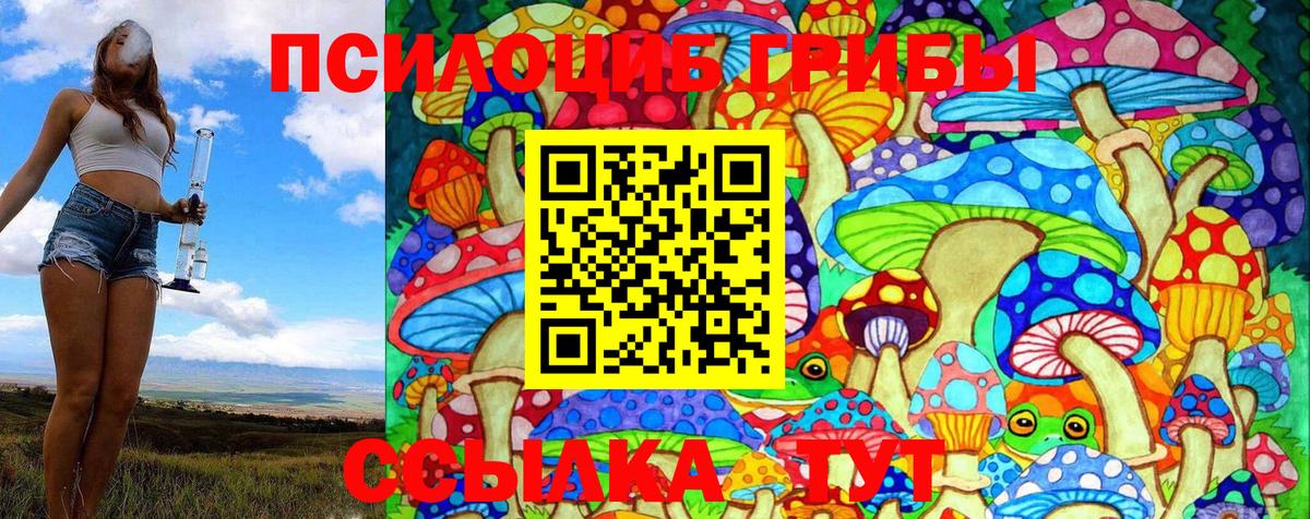 Галлюциногенные грибы Psilocybe Королёв