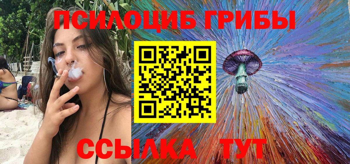 Королёв  Галлюциногенные грибы Psilocybine cubensis  Вход с VPN 
